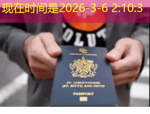 移民泰国的中介：从“北漂”到“泰漂”，一张长居签证的距离